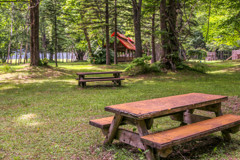 ことしも　きたいね