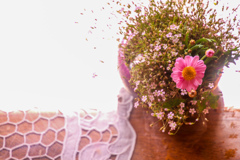 いっしゅんまえの　はな