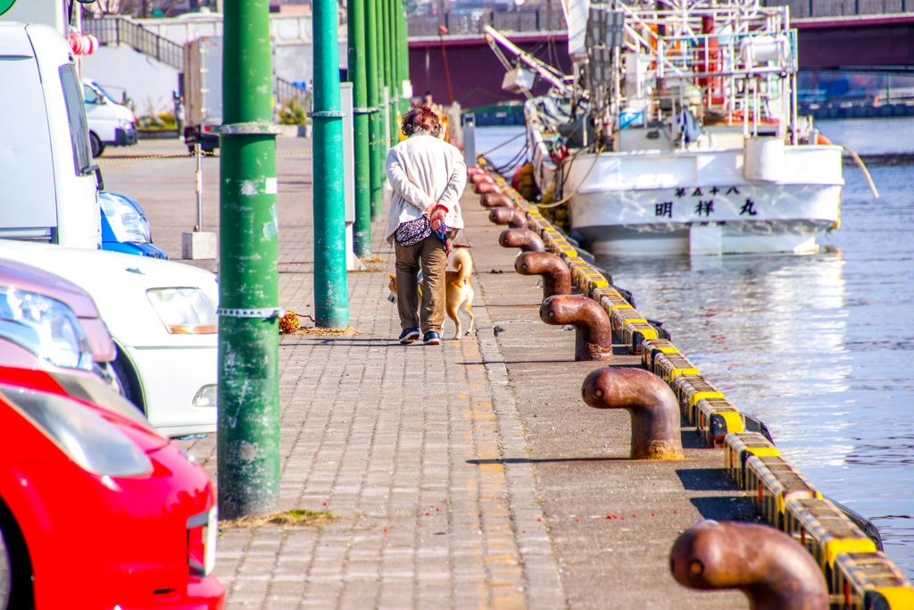 あるひ　ばぁちゃんと　わんこ