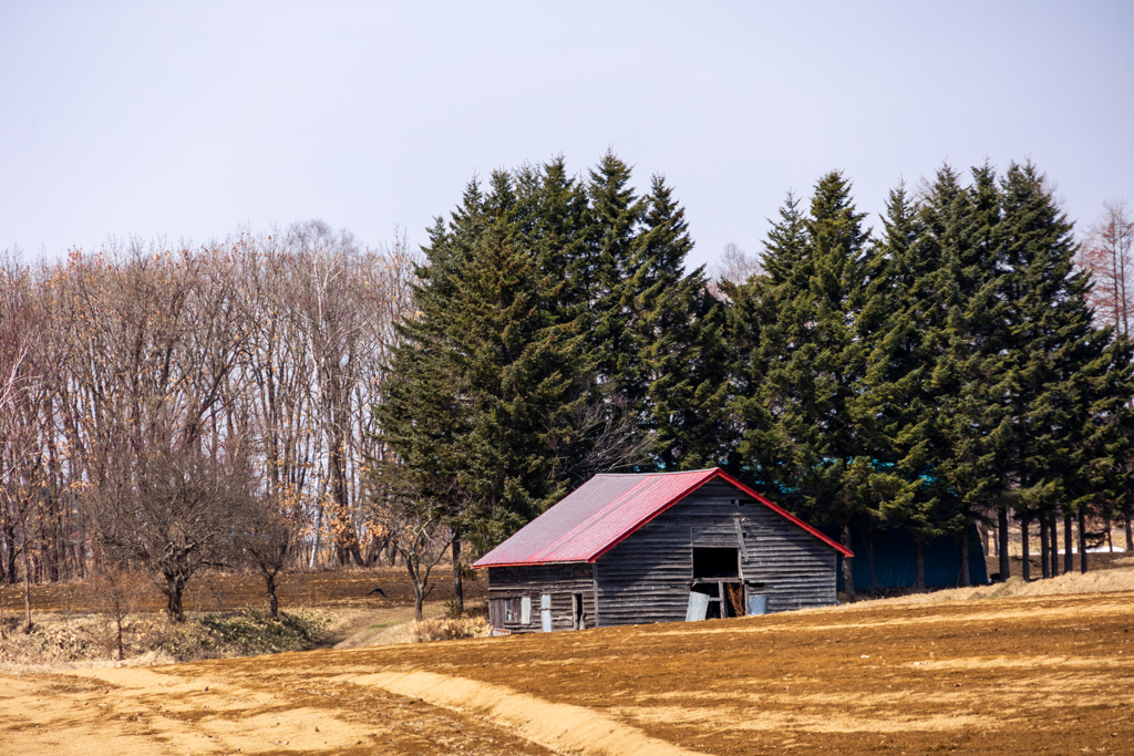 ぽかぽか　の　ひ