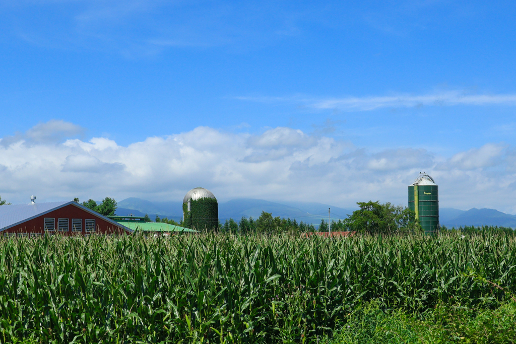 さいろの　ふうけい