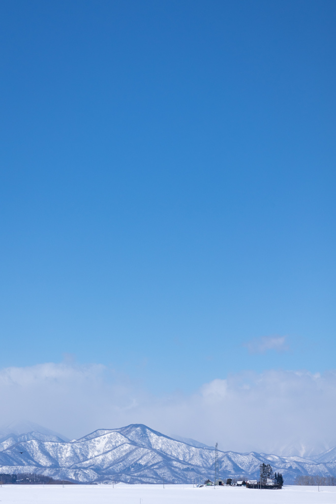 はるは　まだ　とおく