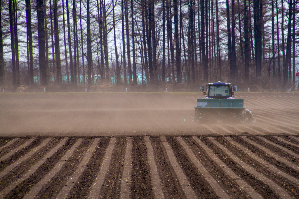 かぜが　はこぶ