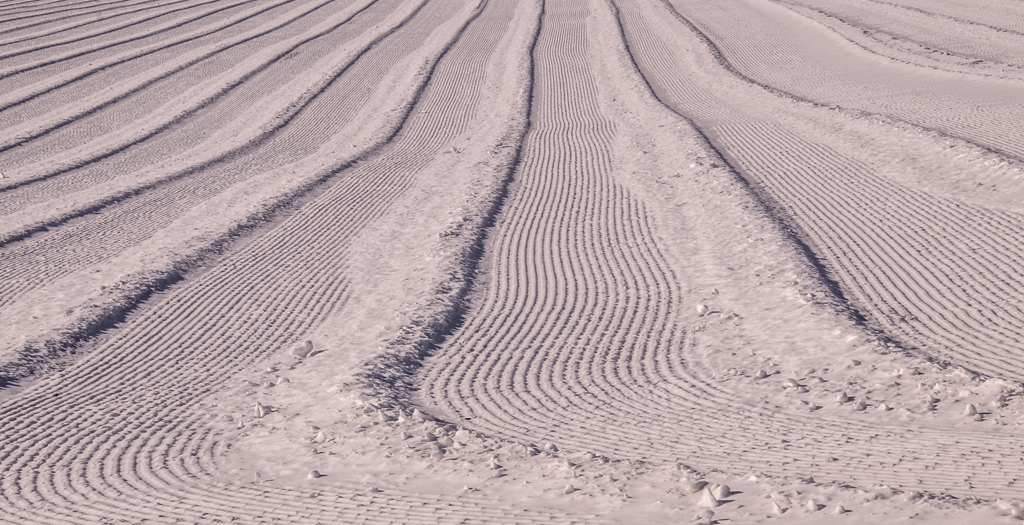 ふゆの　じょうけい