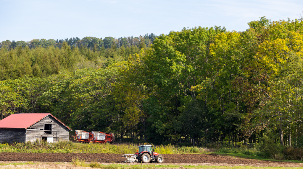 はじまりました。