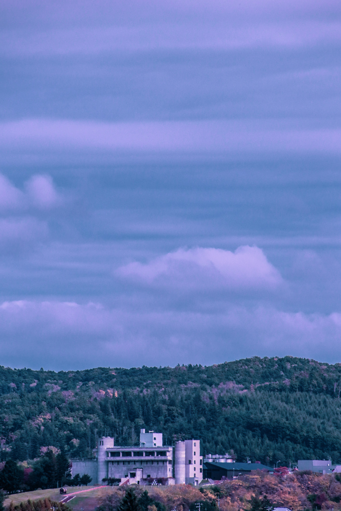 わいん　じょう