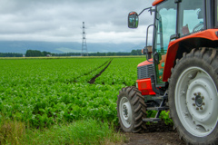 はたけ＆とらくたー