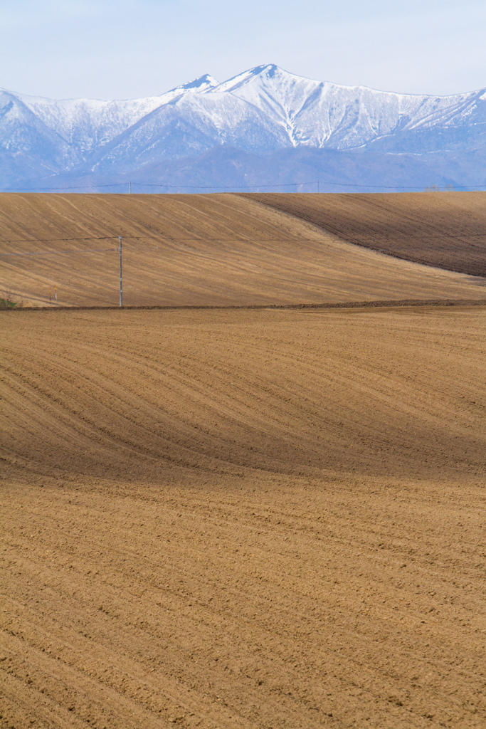 のうかの　みなさまへ　ありがとう