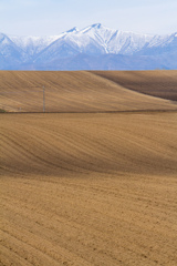 のうかの　みなさまへ　ありがとう