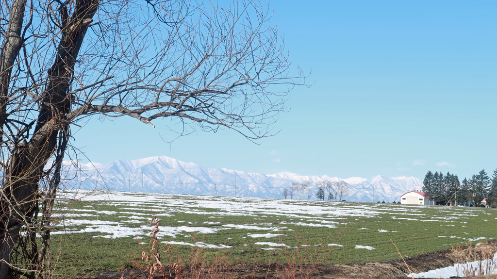 はるはもうすぐ