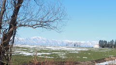 はるはもうすぐ