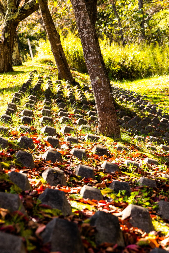 はじまりました。
