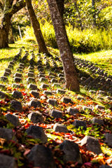 はじまりました。