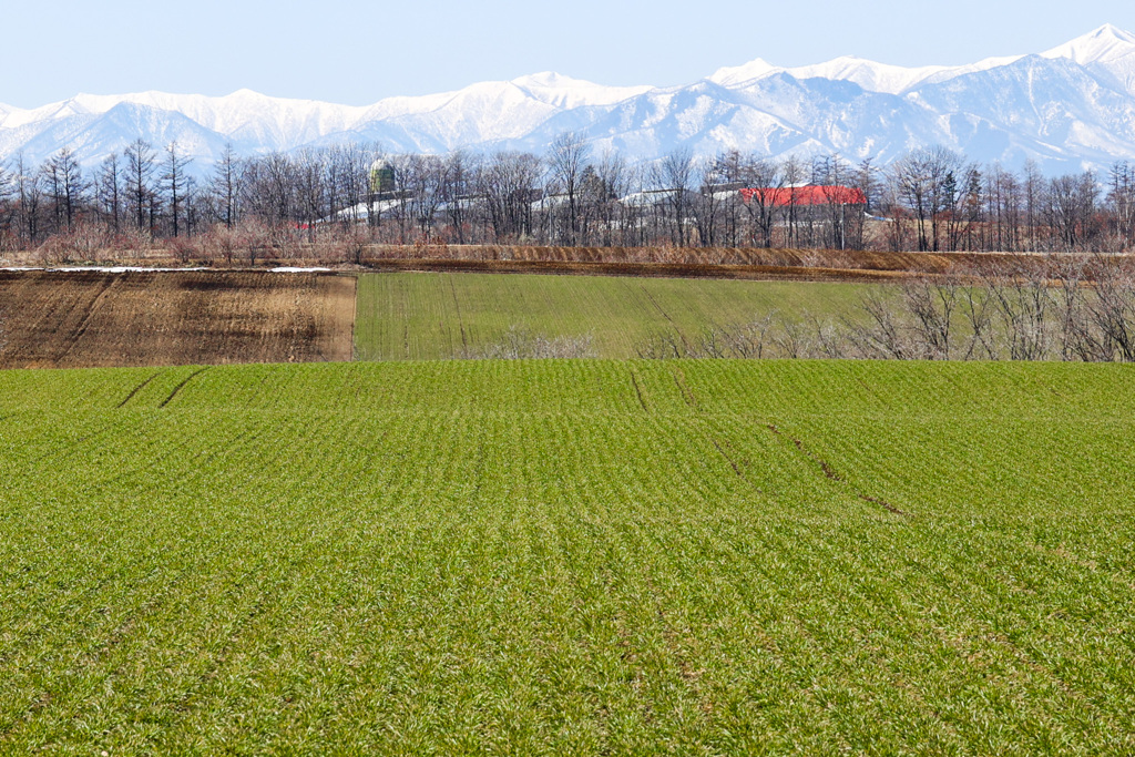 おいしく　そだて