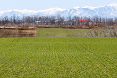 おいしく　そだて