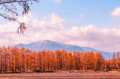 ふゆに　むかって