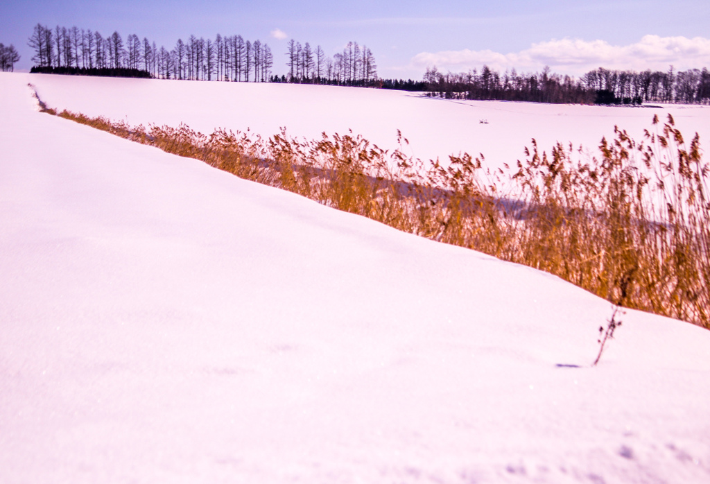 しずかに　しずかに