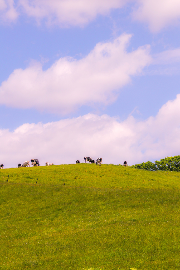 かなり　ひきぎみ