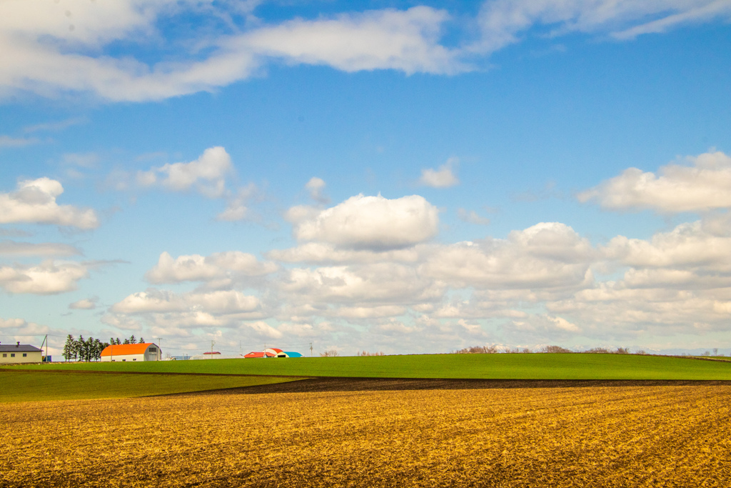 かわいい　そら