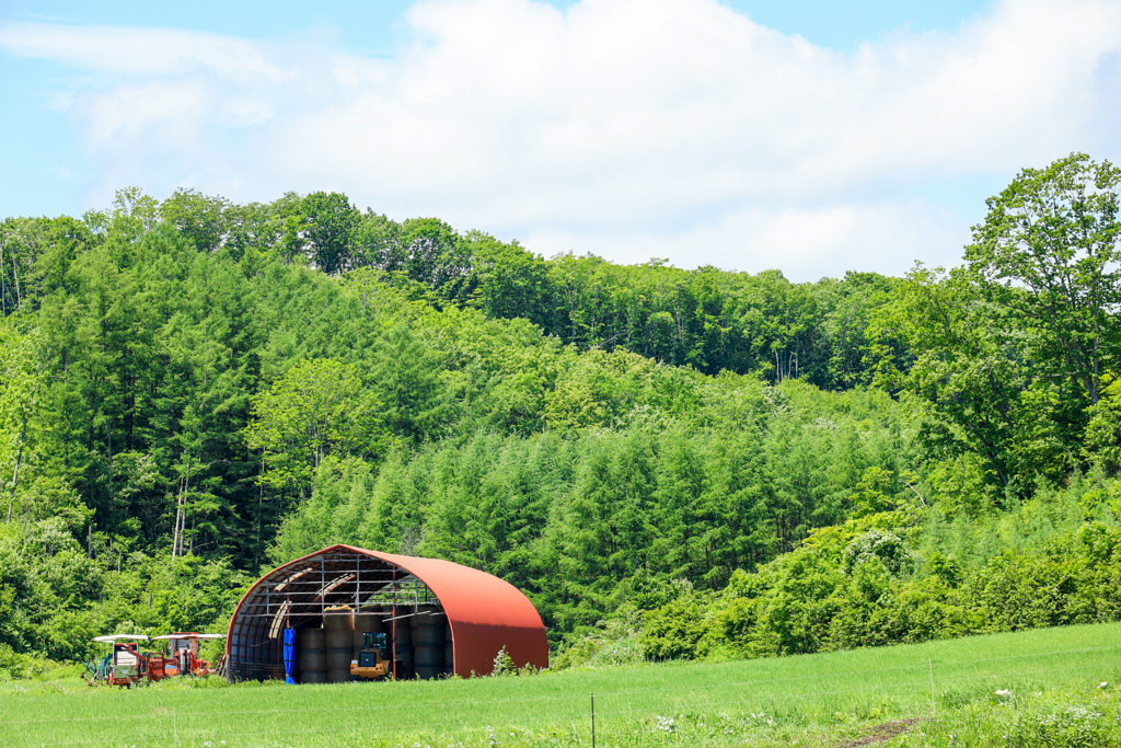 みどりのなかに