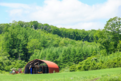 みどりのなかに