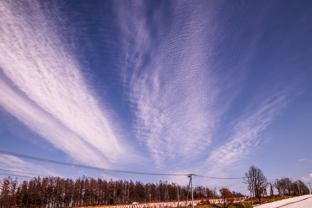 みあげれば　そらに　くも