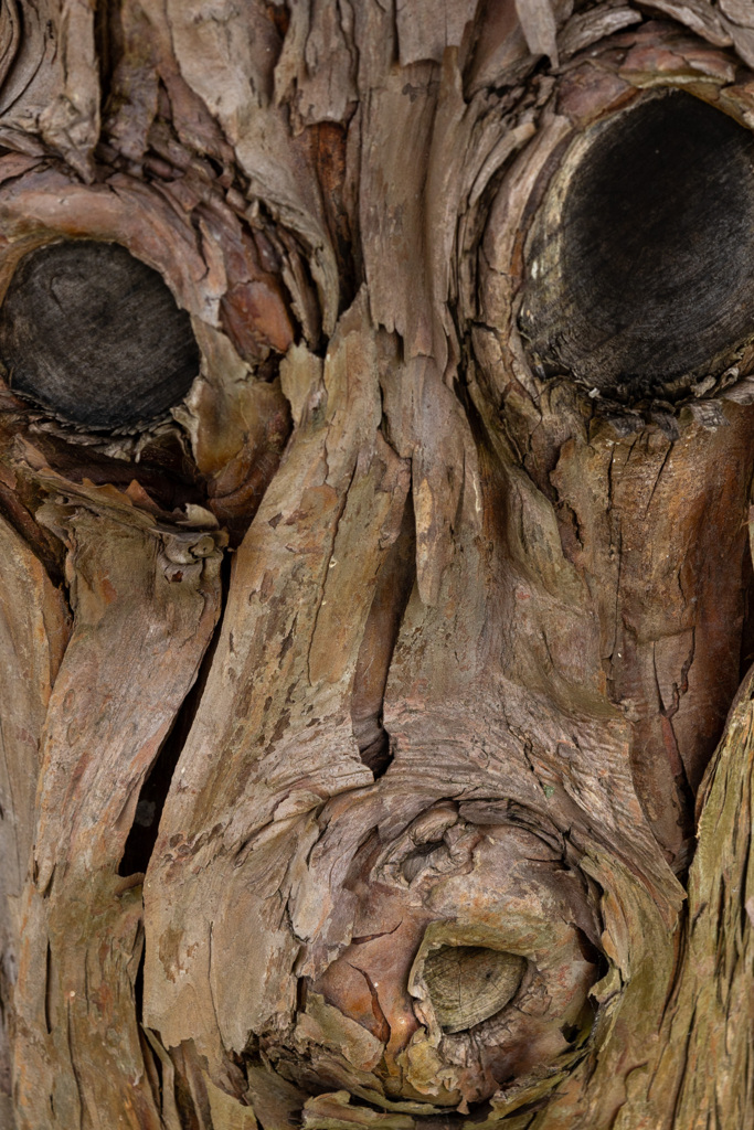 わたしは？　だれ