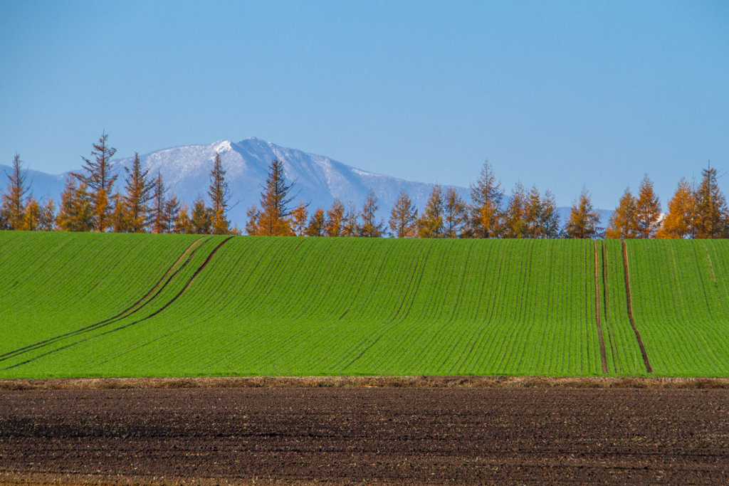 あきの　はたけ