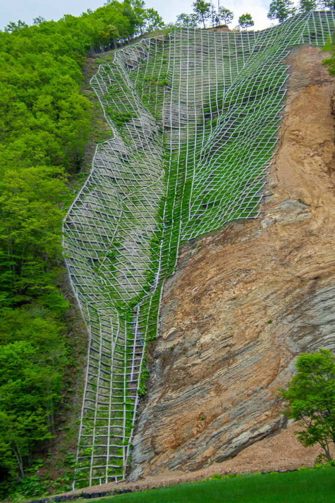 いつの　まにか