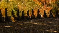 あき　の　じぞうさん