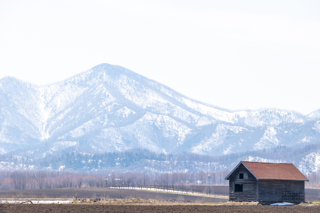 ぽかぽか　の　ひ