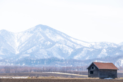 ぽかぽか　の　ひ