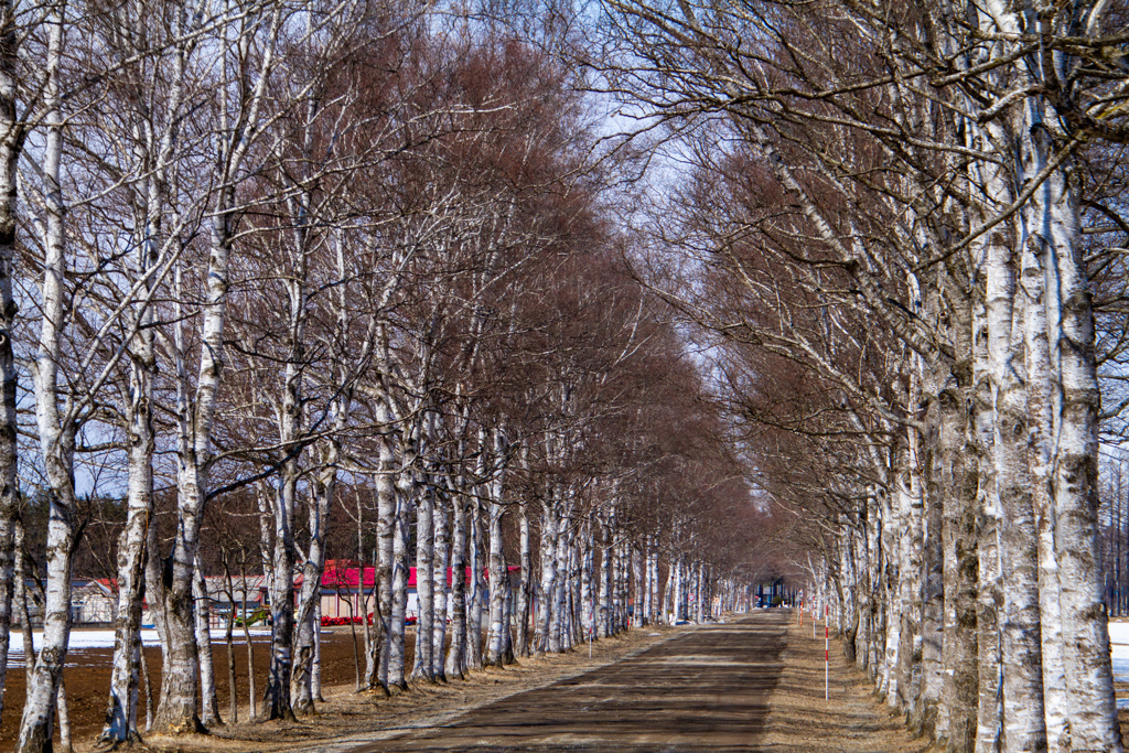 とおく　とおく　どこまでも　とおく