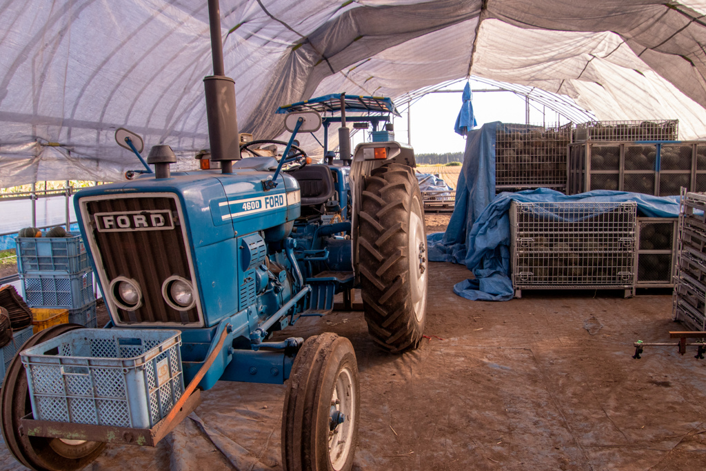 かつやくしたね。