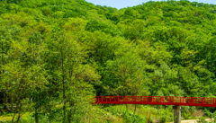 もりの　こうえん