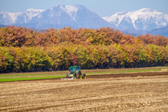 ゆきが　ふった。