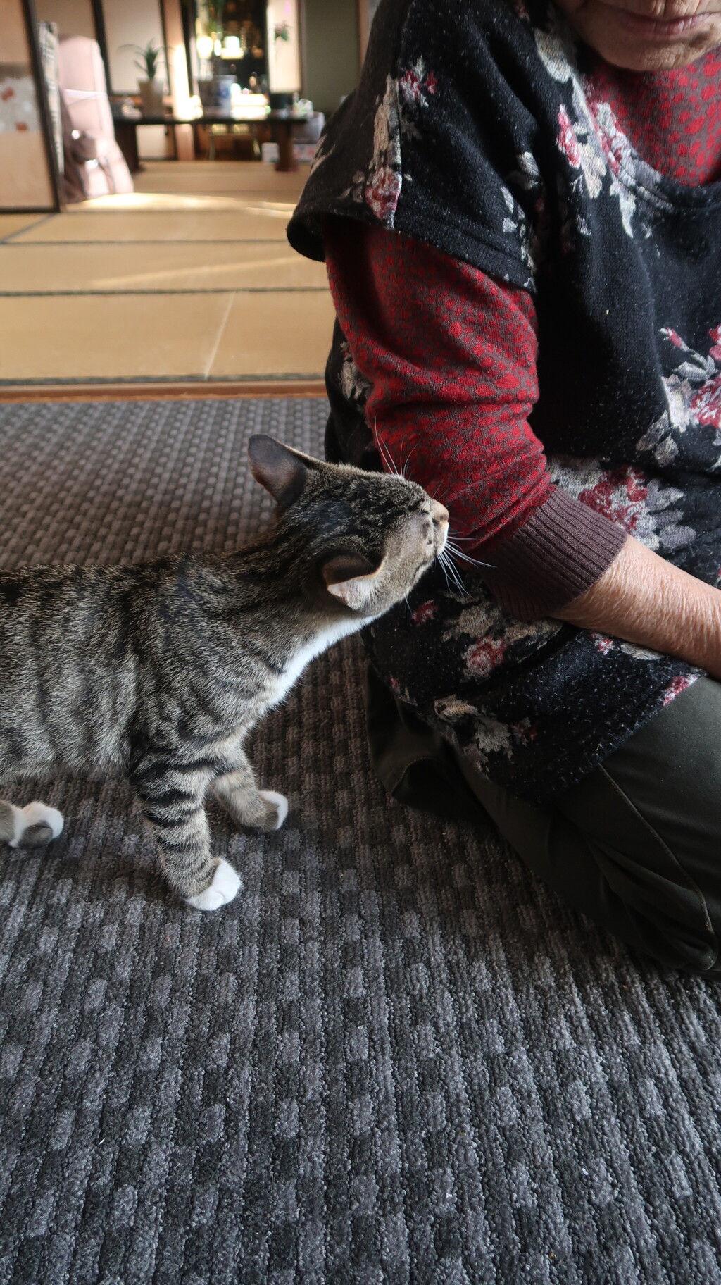 ちびと　ばーちゃん