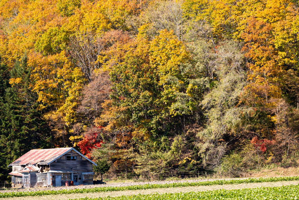 しずかに　かえる。