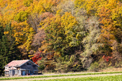 しずかに　かえる。