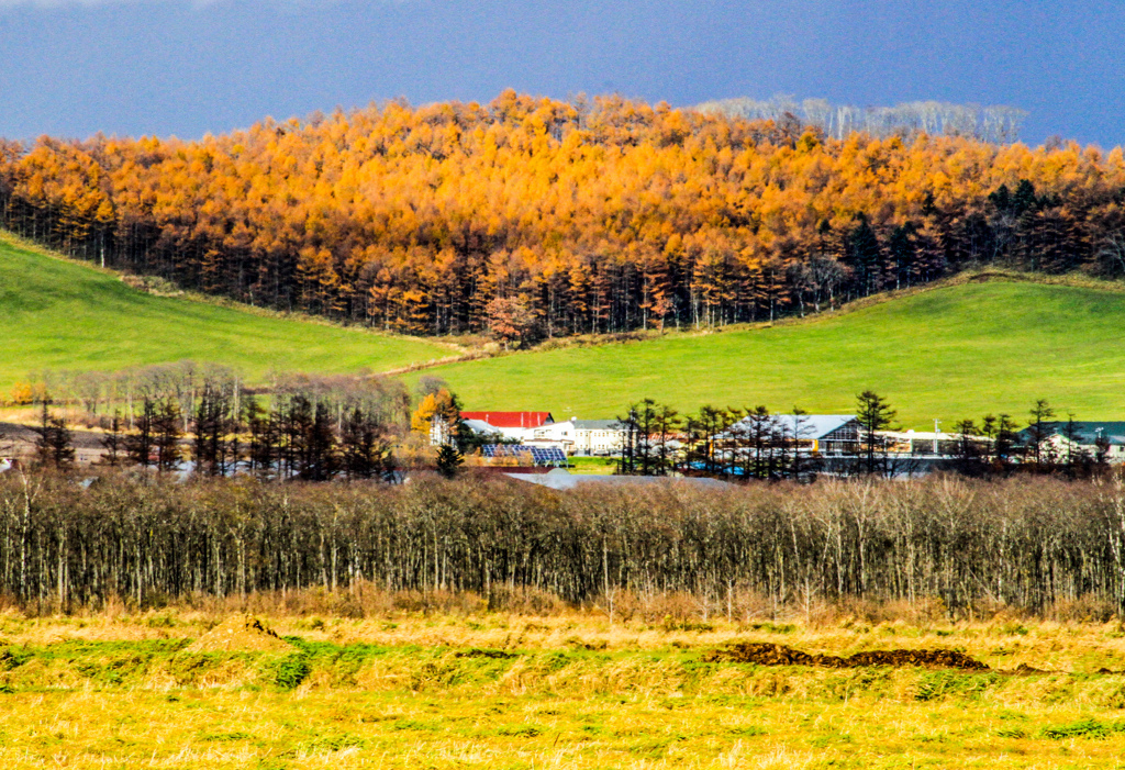 むかしの　あきいろ