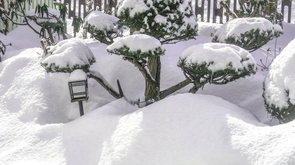 けさのゆき　おもい