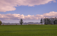 なつは　しずかに　すぎてゆく