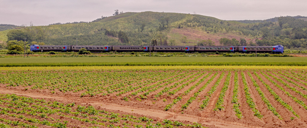 とっきゅう　おおぞら