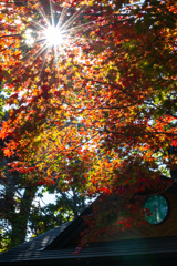 あき　まぶしく