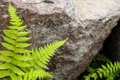 なにげない　もの