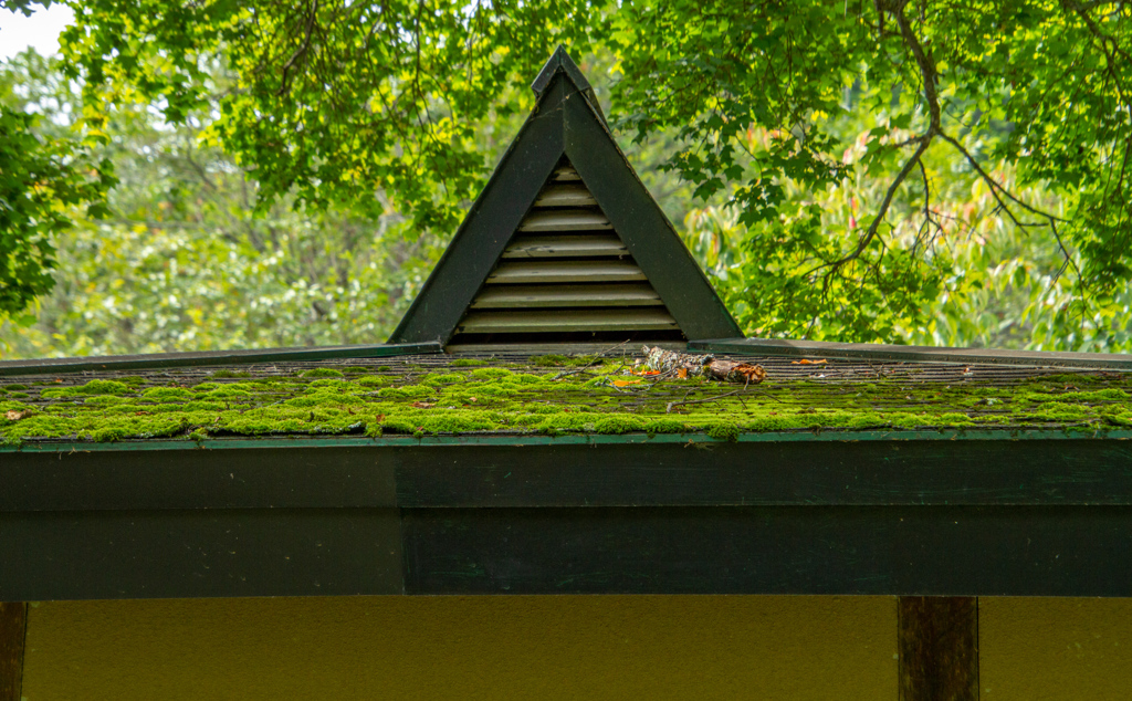 みどりの　こうえん