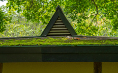 みどりの　こうえん