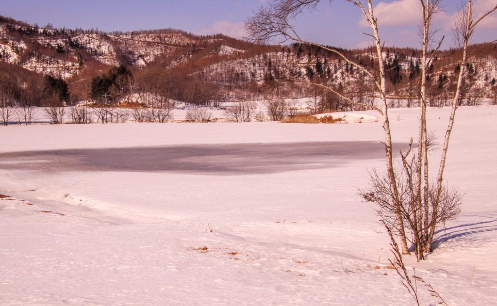 はる　まじかの　はたけ