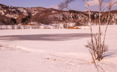 はる　まじかの　はたけ