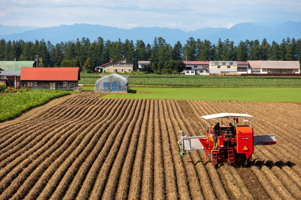 みんな　がんばる